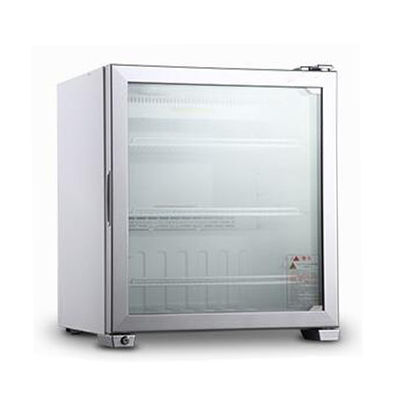Zamrażarki stojące 99L Chłodzenie bezpośrednie 220 V/50 Hz