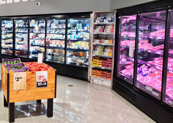 Supermarket Upright Glass Door Display Zamrażarka Niska temperatura