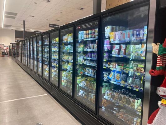Samodzielna pionowa zamrażarka ze szklanymi drzwiami Niska temperatura 3 4 5 6 drzwi